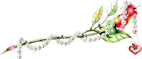 闪花