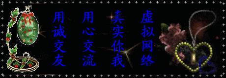 网络