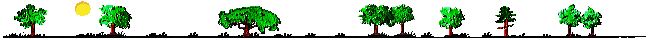 排排枫树