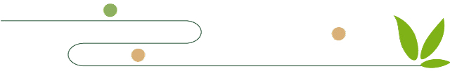 叶2