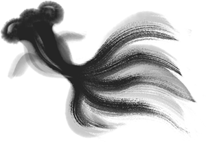 墨鱼