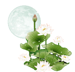 莲花