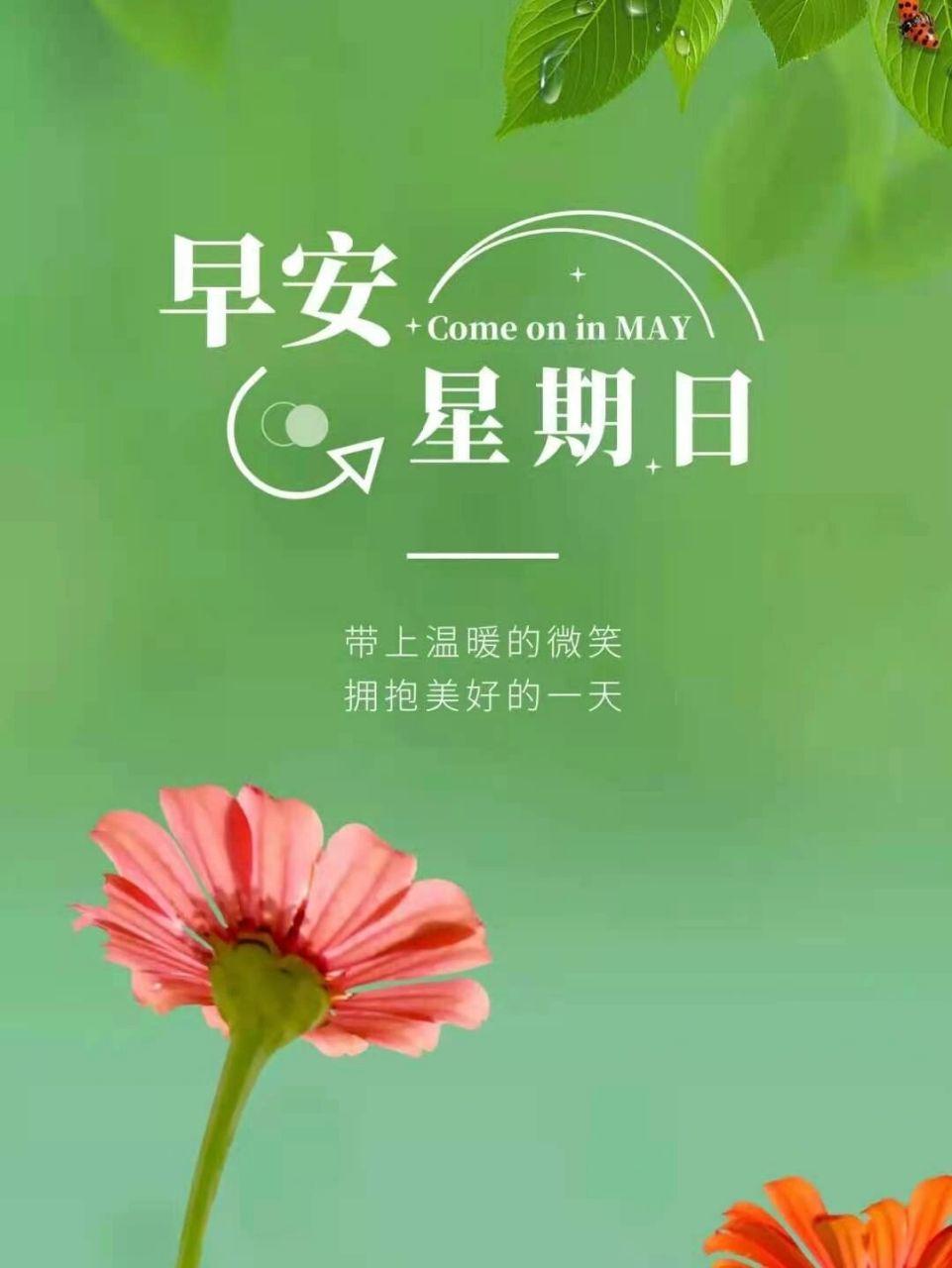 早安，新的一天！