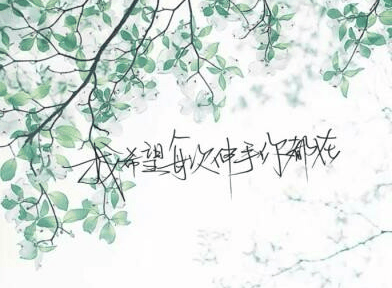 为了遇见你，我该多优秀