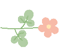 gif小花