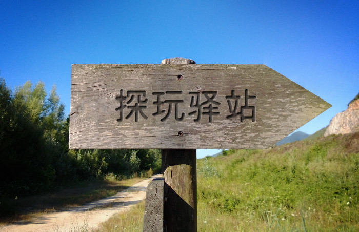 菜狗