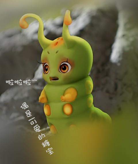 糖宝照片