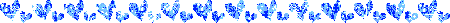 8.07