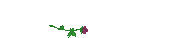 写字