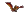 鸟