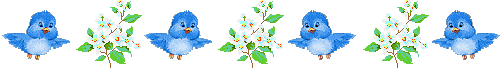 小鸟