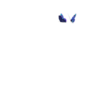 前辍17
