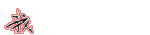 分割线