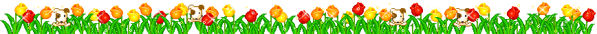 前辍13