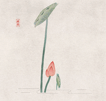gif荷花