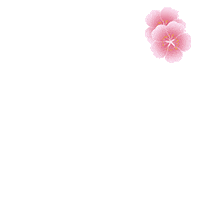 gif小桃花
