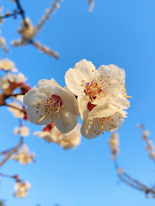 06