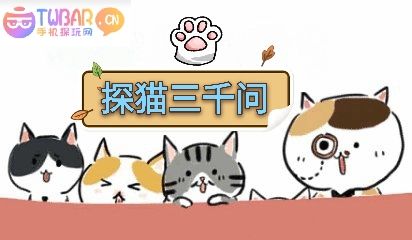 探猫封面