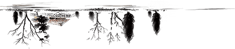 水墨人家2