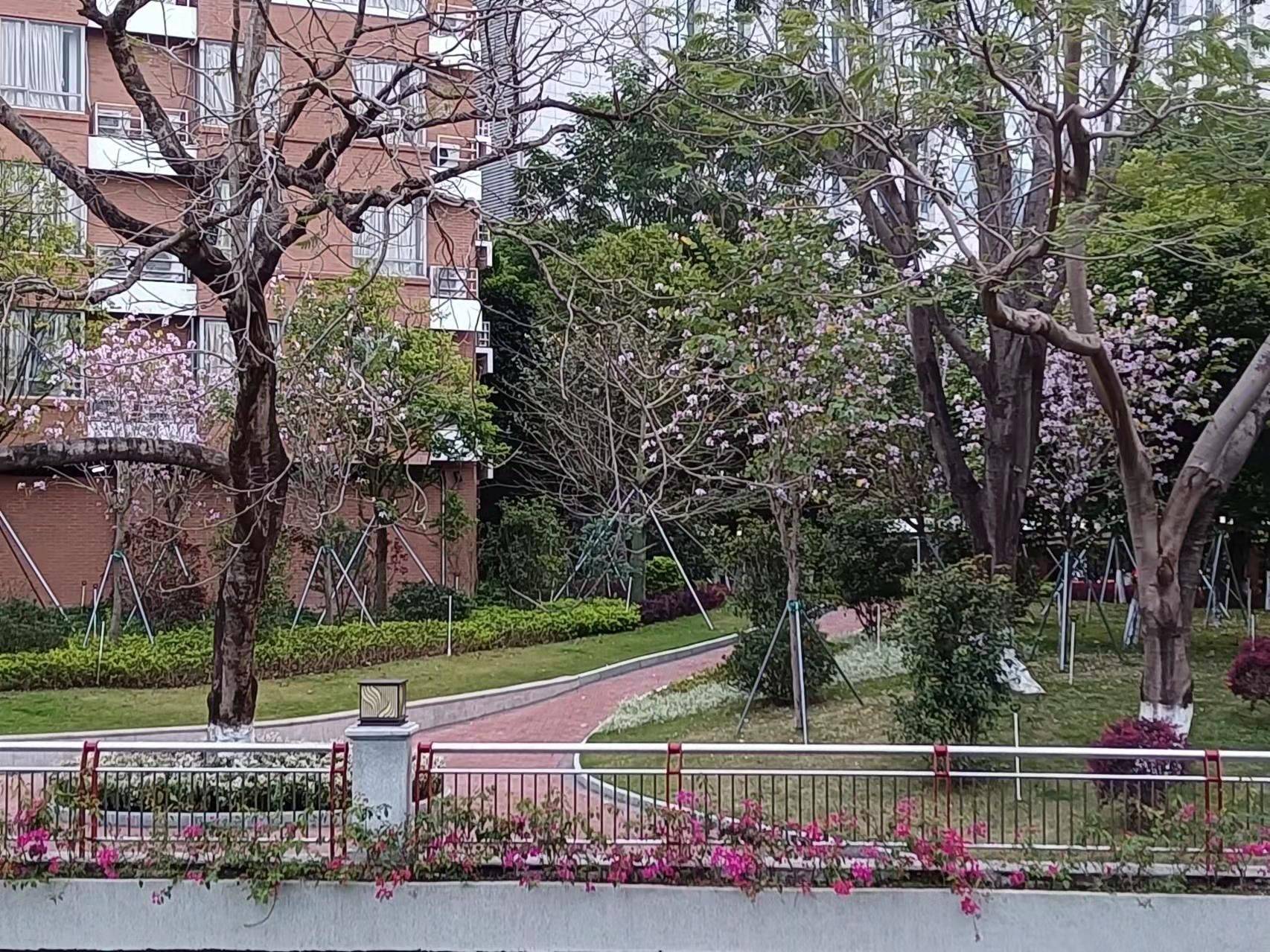 春花