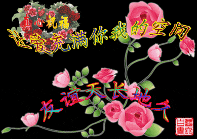 你与星月，皆可珍藏
