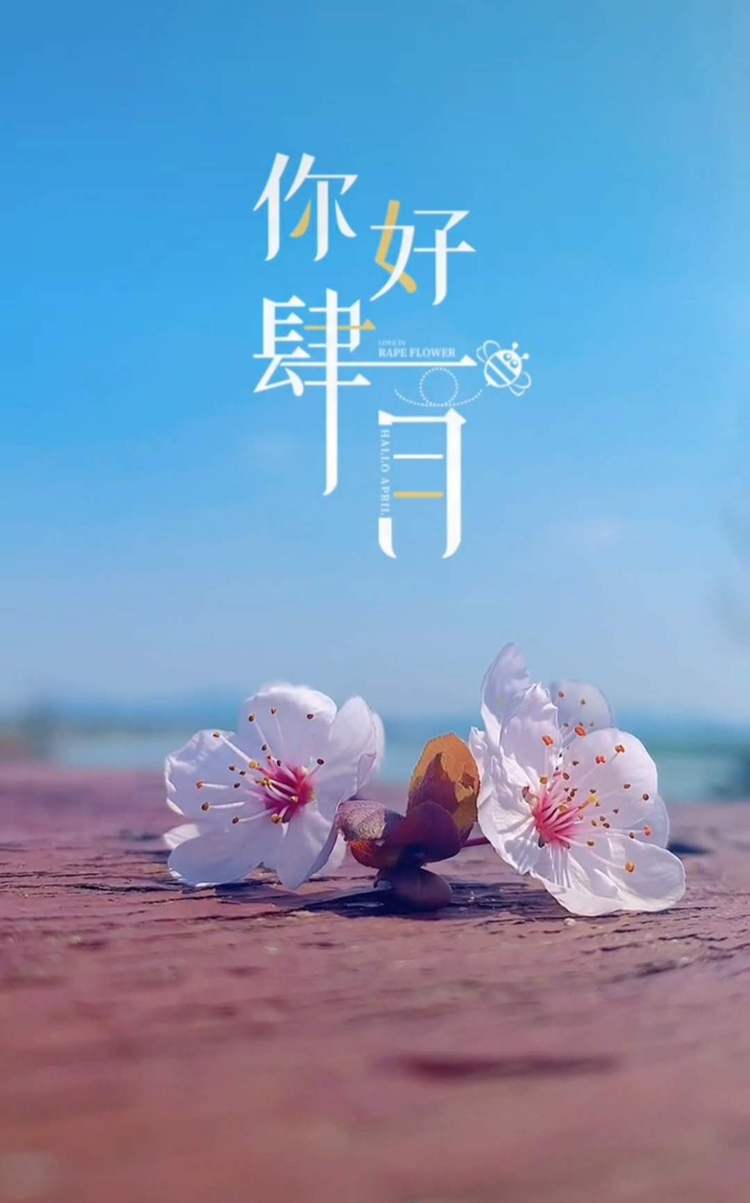 肆月