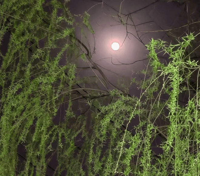 山河万里皆温柔，不及一人在心头