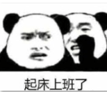 猪娃
