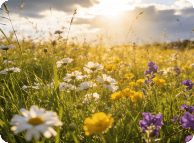 【Q民热点】于东来朴素幸福观引热议！