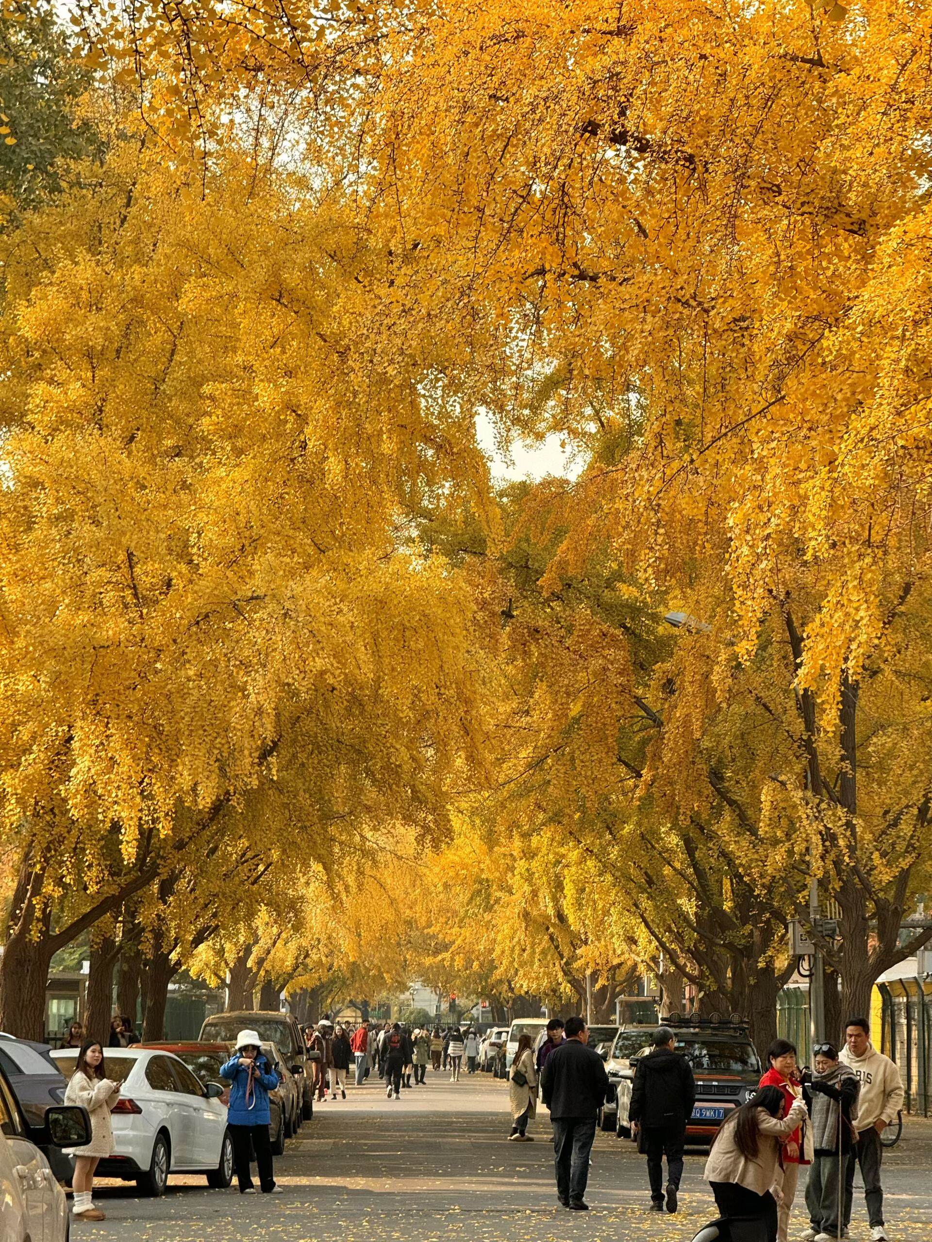5201314+一颗棉花糖+我为我的城市代言②