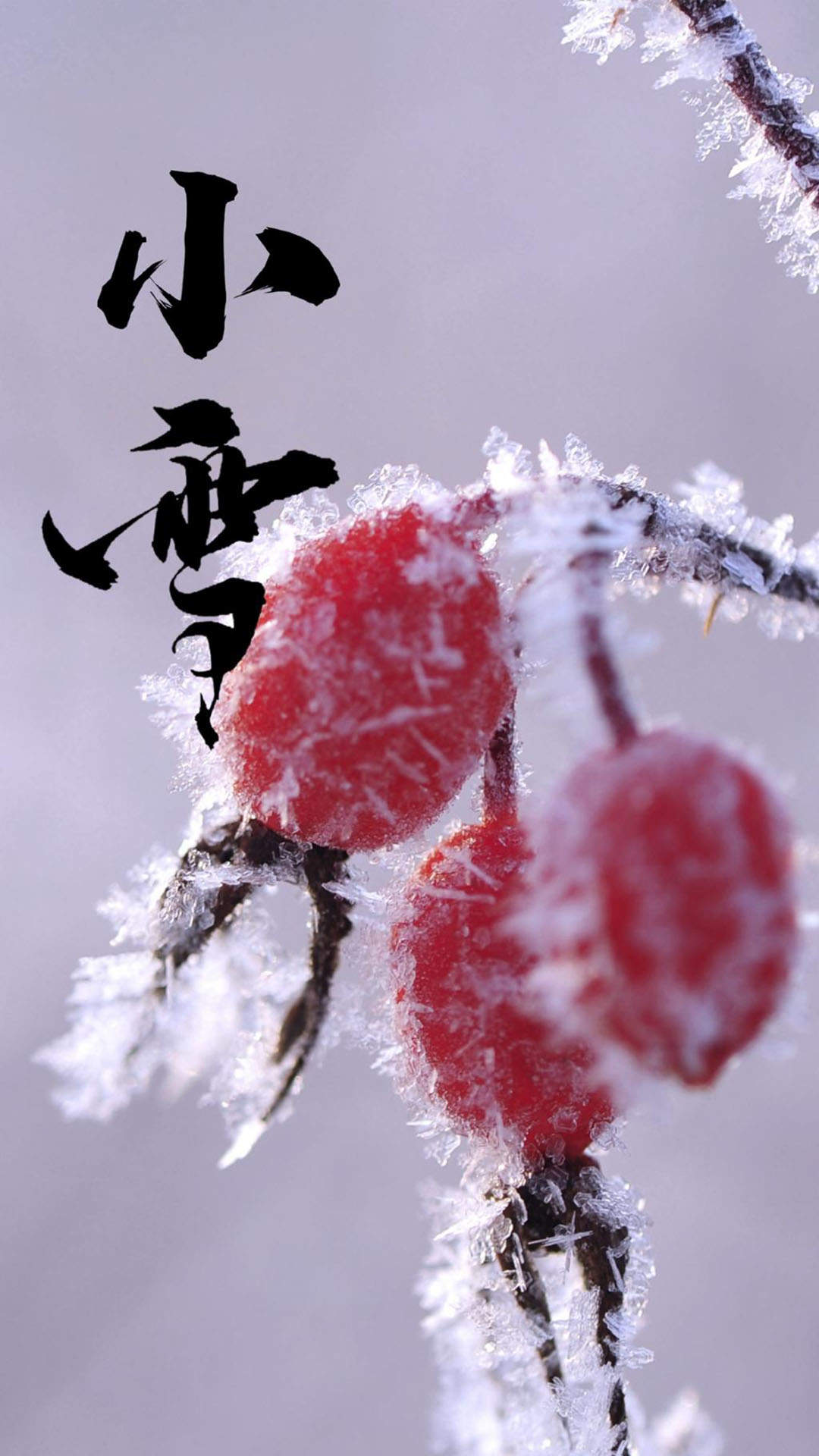 小雪
