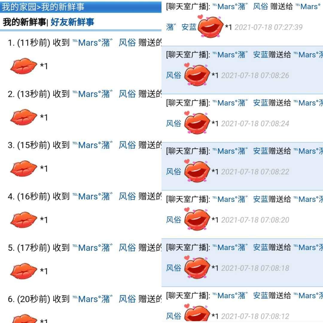 任务