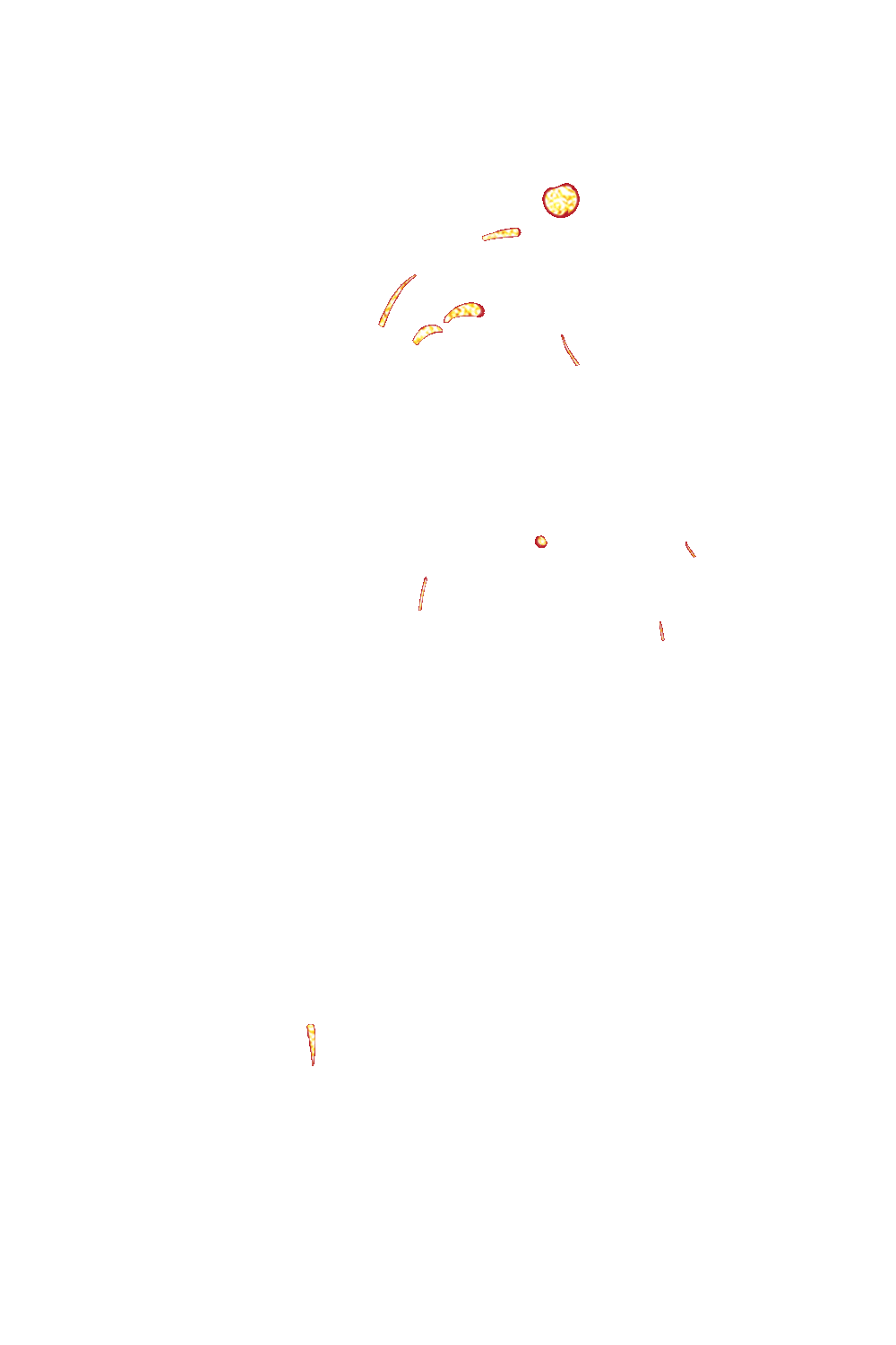 特别的日子，特别的你，请收下这束花