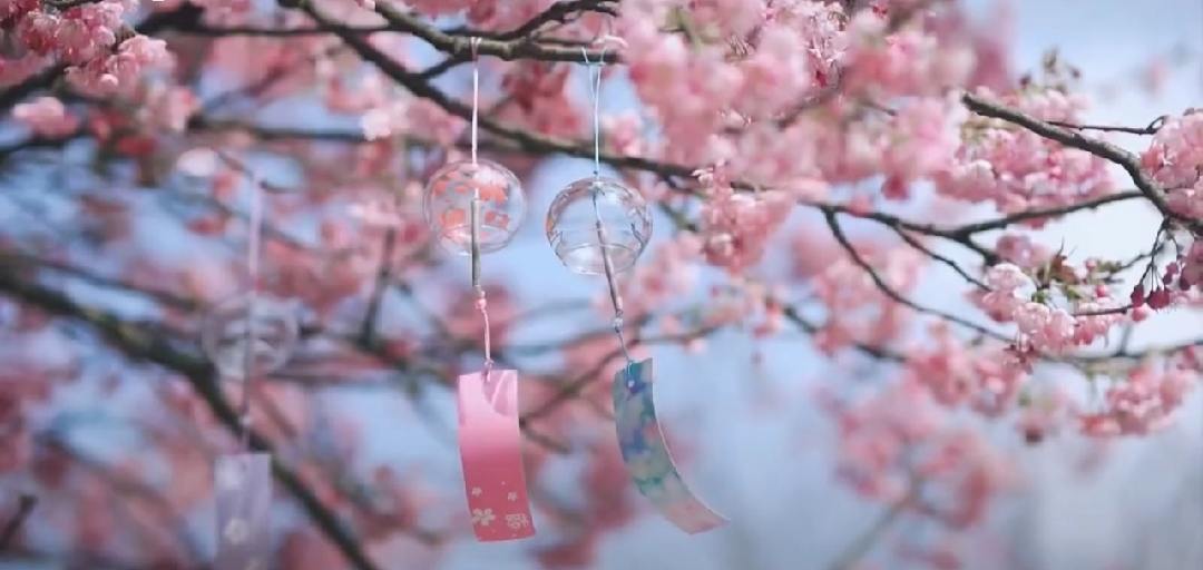  ડρꫀᥴⅈꪖꪶ 