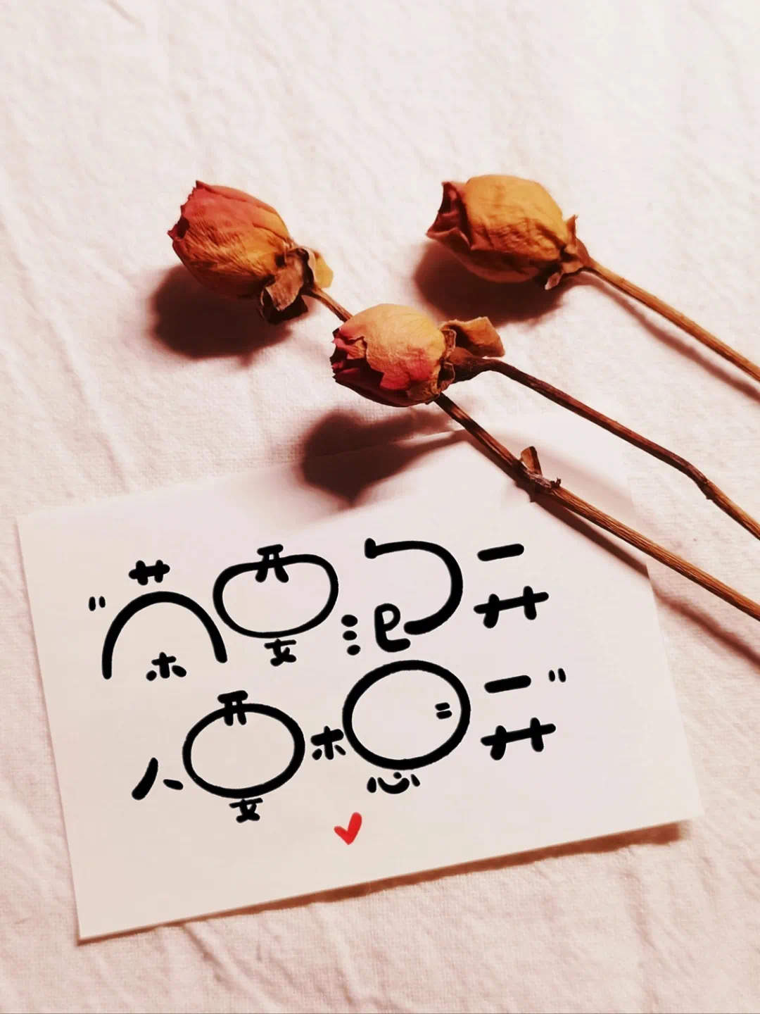 不慌不忙，安静生长