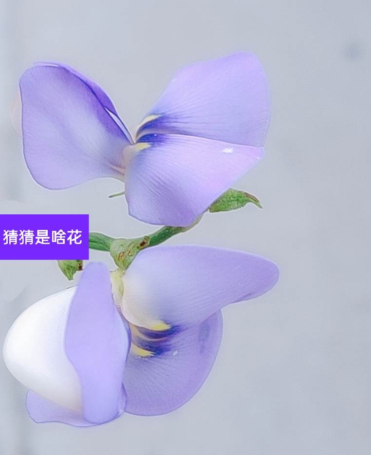 。